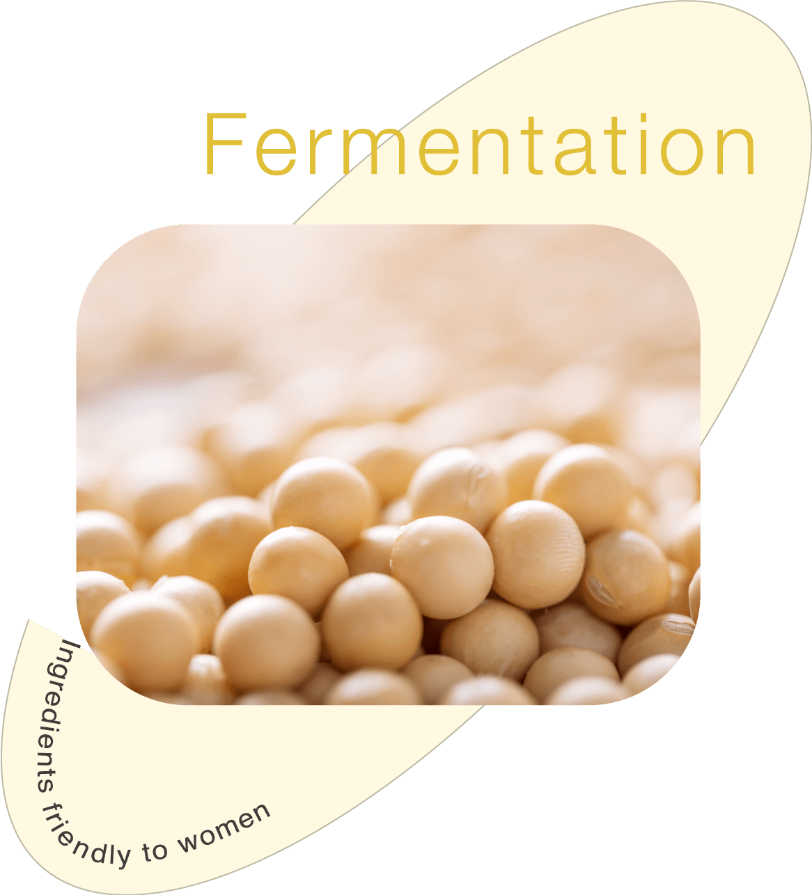 Fermentation Ingredients friendly to women